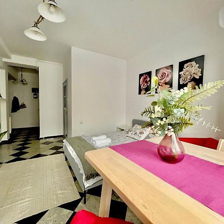 Victoriei Spacious Studio Букурещ Екстериор снимка