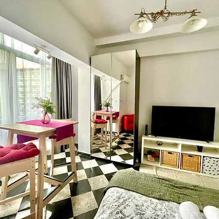 Victoriei Spacious Studio Букурещ Екстериор снимка