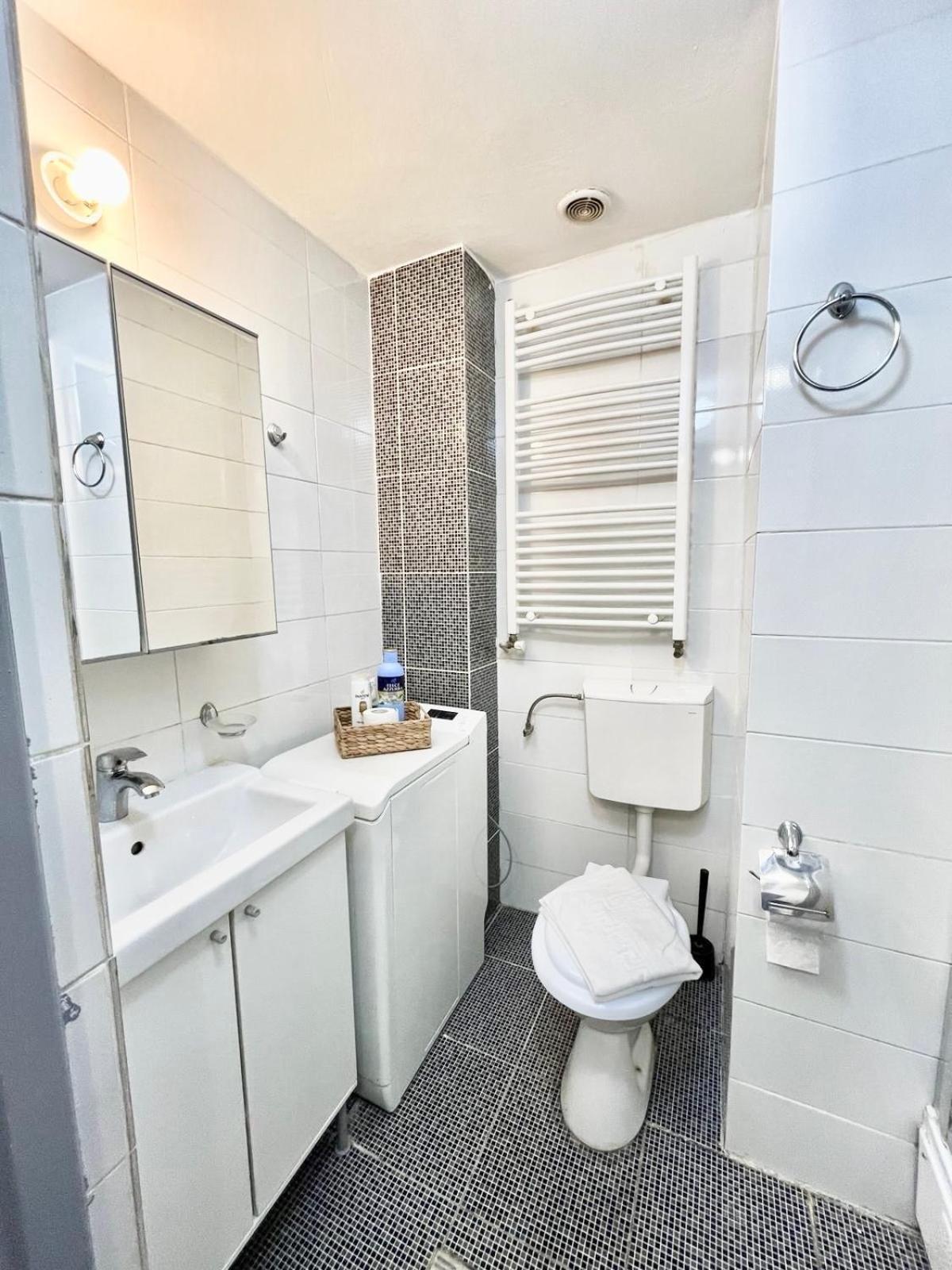 Victoriei Spacious Studio Букурещ Екстериор снимка