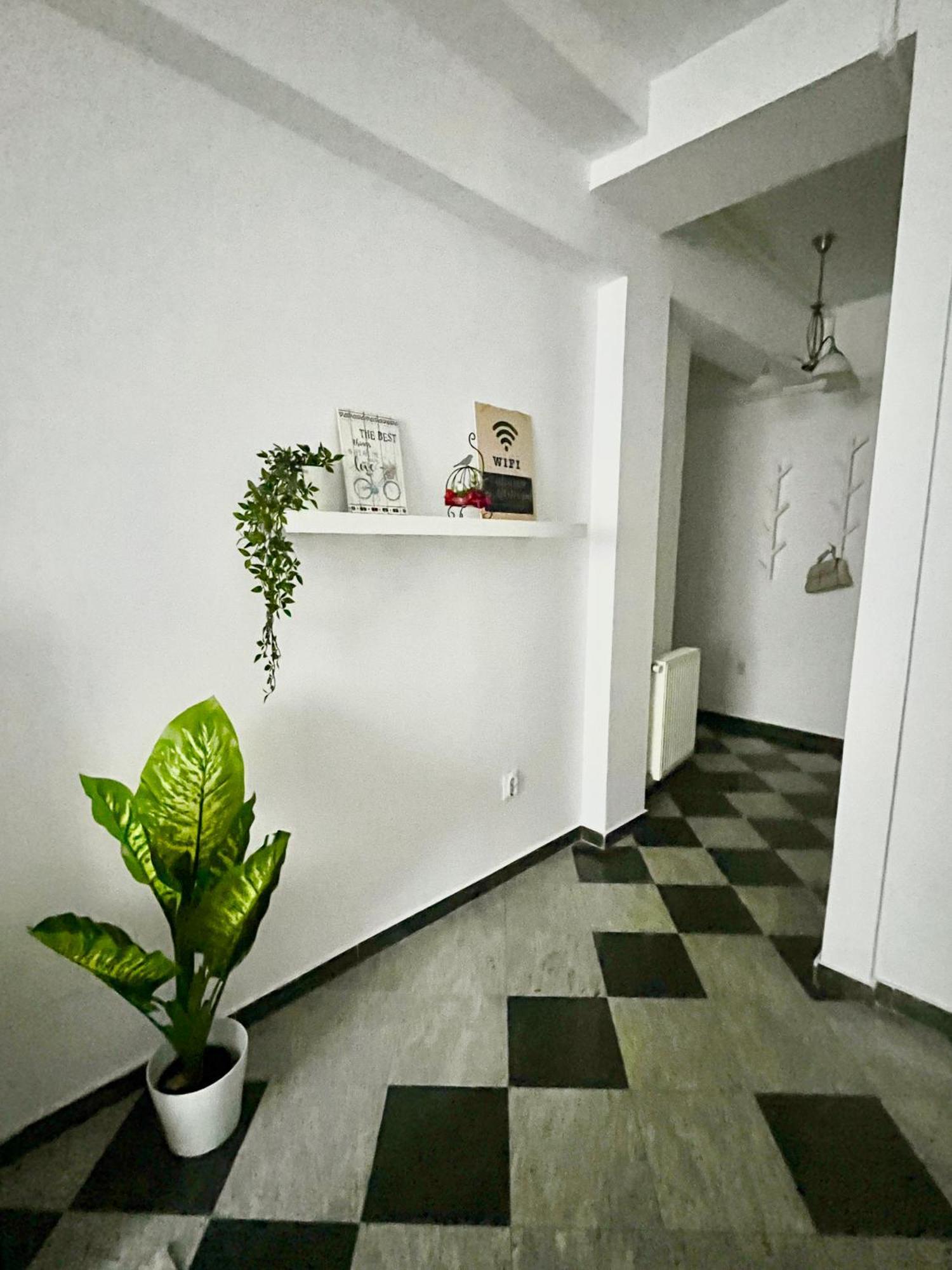 Victoriei Spacious Studio Букурещ Екстериор снимка