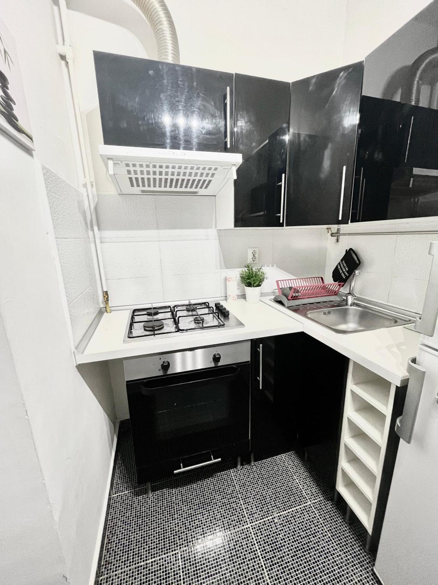 Victoriei Spacious Studio Букурещ Екстериор снимка