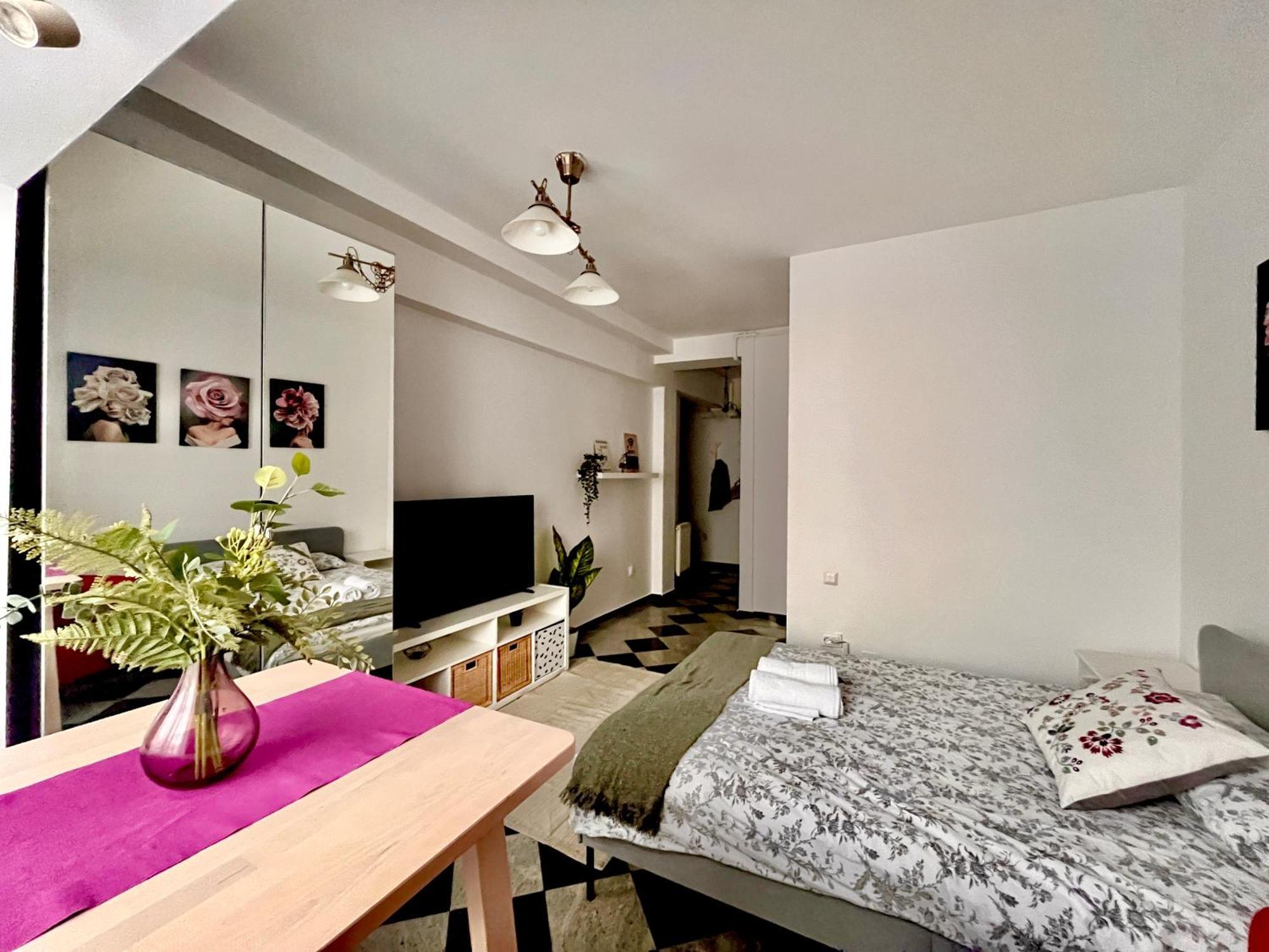 Victoriei Spacious Studio Букурещ Екстериор снимка
